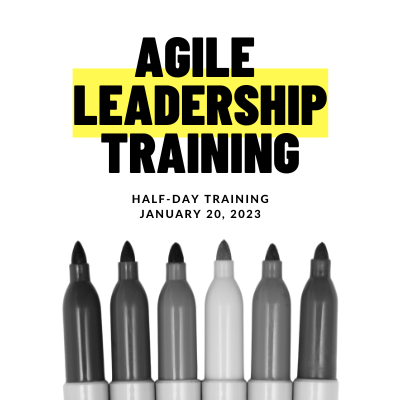 Agile Leadership Training to develop Facilitation Skills hands-on on January 20, 2023 in Zurich